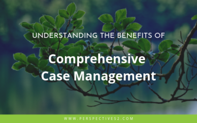 Comprehensive Case Management
